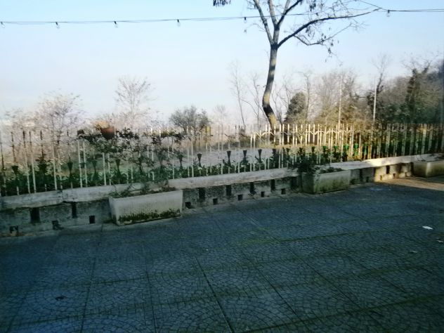 Colli Euganei ristorante e altro - Foto 6