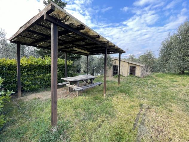 Uliveto in vendita a Casale Marittimo - Foto 2