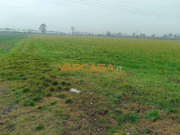 TERRENO AGRIOLO PIANEGGIANTE CON ACCESSO DIRETTO - Foto 10