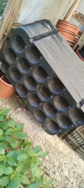 Vasi e vassoi per semenze e piante grasse - Foto 7