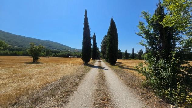 Magazzino in vendita a Nocera Umbra - Foto 4