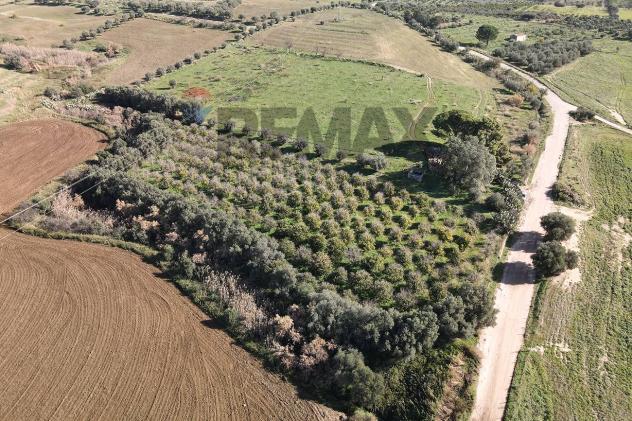 Terreno in vendita a Paternò - Foto 5
