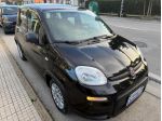 FIAT Panda 1.0 FireFly S&S Hybrid rif. 23653650