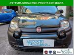 FIAT Panda Pandina Cross 1.0 FireFly Hybrid 5°P  KM0 rif. 24036026