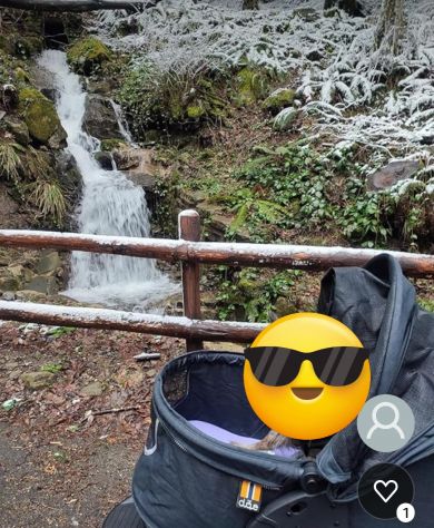 Vendo passeggino per cani di taglia grande usato una sola volta - Foto 8
