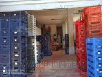 IMMOBILI-IMMOBILE COMMERCIALE-SS Per Fiuggi, 155, 03010 Trivigliano FR, Italia