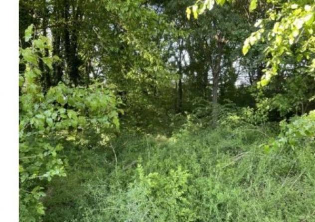 Immobile in asta di 182 m² con più di 5 locali in vendita a Suzzara - Foto 5