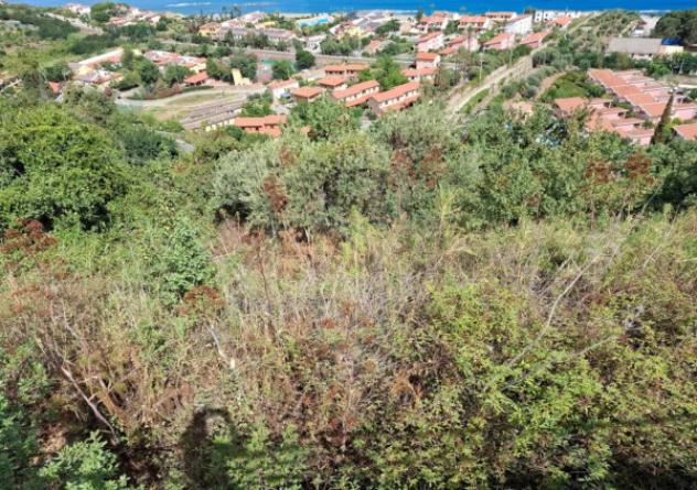 Immobile in asta di 5431 m² in vendita a Piraino - Foto 3