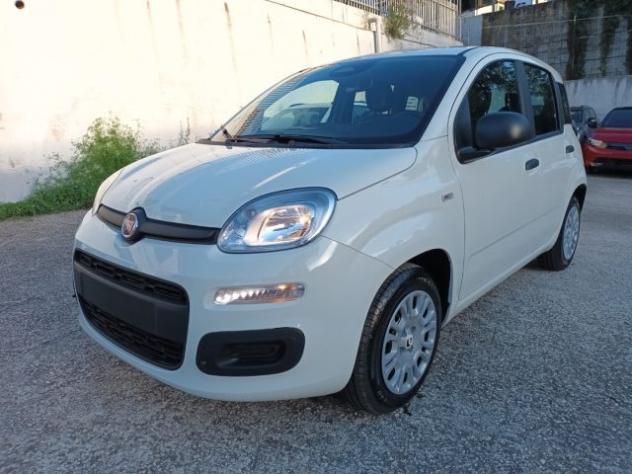 FIAT Panda 1000 HYBRID PANDINA ICON 70CV 5P PACKCITY ITALIA rif. 23999345 - Foto 2
