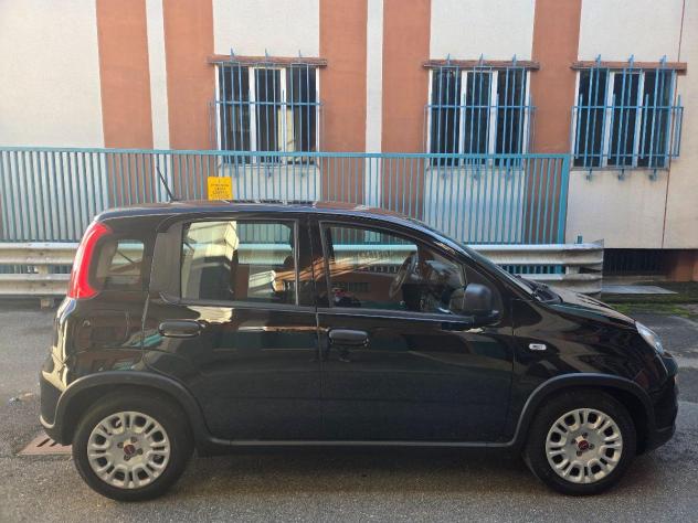 FIAT - Panda - 1.0 FireFly S&S Hybrid - Foto 5