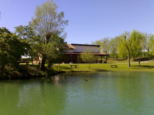 Bar Trattoria con Parco e Lago mq. 50.000 - Foto 9