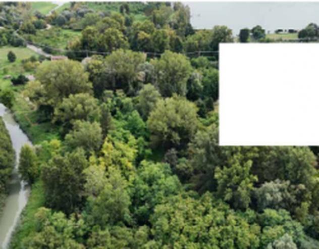 Immobile in asta di 49900 m² in vendita a Mantova - Foto 6