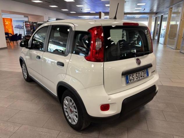 FIAT Panda 1.0 ibrida/benzina 70cv. FireFly , Km 26.000 rif. 24186555 - Foto 5