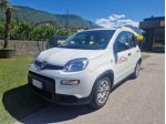 FIAT Panda 1.0 FireFly S&S Hybrid rif. 23632180