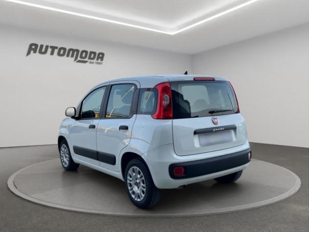 FIAT Panda 1.2 Easy 69CV rif. 23159218 - Foto 6
