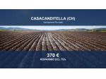 Immobile in asta di 685 m² in vendita a Casacanditella