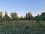 Terreno agricolo in vendita a Gracciano Dell'elsa - Colle di Val d'Elsa 114 &hellip;
