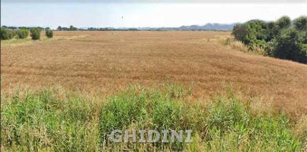 TERRENO AGRICOLO di 1 vani e di 80000 mq (ORBETELLO - ALBINIA) rif. 2375.272M - Foto 3