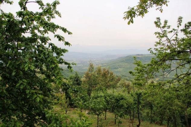 Orvieto (Benano) - In zona panoramica con vista su Orvieto, vendesi lotto di terreno edificabile ricadente di circa 3000 mq. - Foto 7