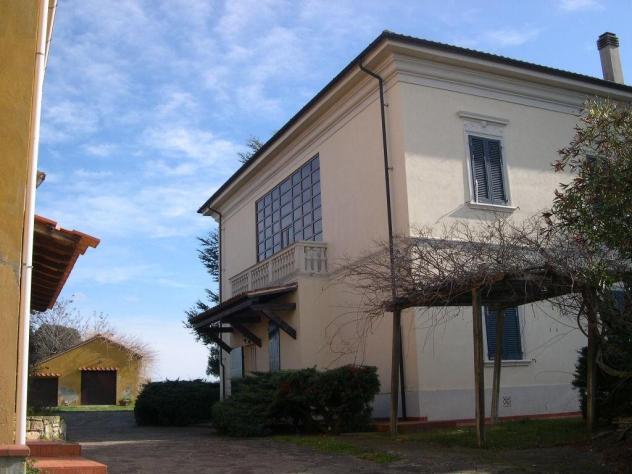 Terreno agricolo in vendita a Casale Marittimo 240000 mq Rif: 1177352 - Foto 3