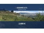 Immobile in asta di 3040 m² in vendita a Cesarò