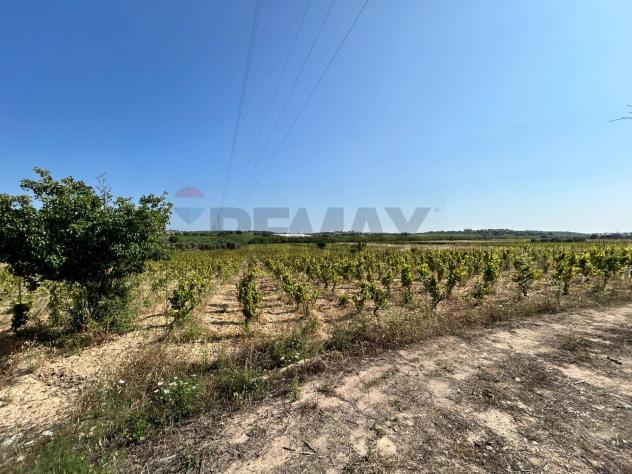 Terreno in vendita a Noto