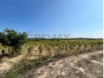 Terreno in vendita a Noto