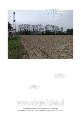 IMMOBILI-ALTRA CATEGORIA-Via Santa Maria Apparve, 60010 Ostra AN, Italia - Foto 2