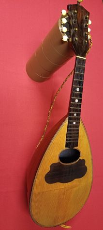 Mandolino Napoletano Luigi Fenga - Foto 3