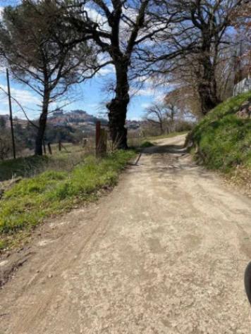 Immobile in asta di 448 m² in vendita a Montefiascone - Foto 5