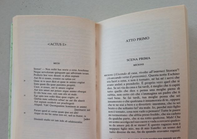 TERENZIO - I fratelli - Foto 9