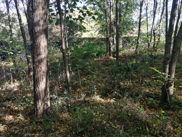 TERRENO CON AMPIO RUDERE - Foto 7