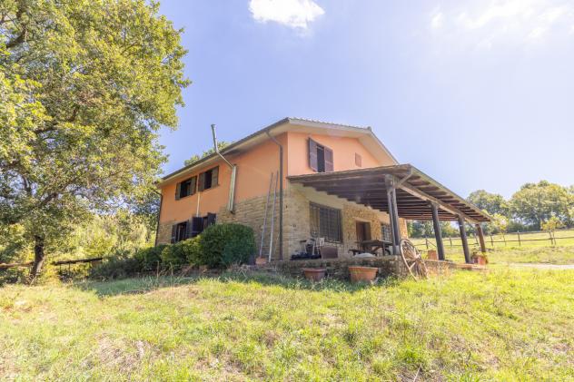 Casale in vendita a Barbarano Romano - Foto 6