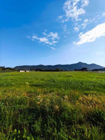 Agricolo in vendita a San Felice Circeo