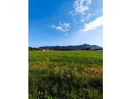 Agricolo in vendita a San Felice Circeo