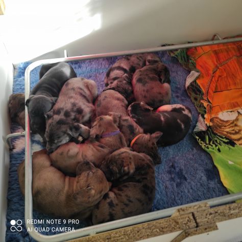 La banda dei 10 - Foto 4