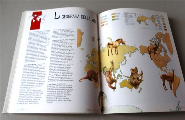 Videoenciclopedia della natura - Foto 8