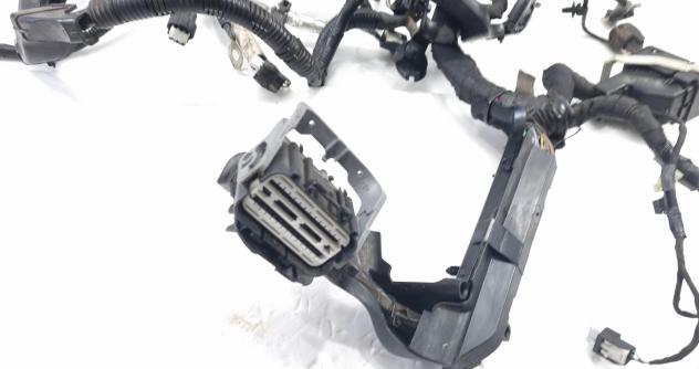 CABLAGGIO ELETTRICO MOTORE FORD EcoSport Serie JN15-12C508-BE SFJL Benzina 1000 (12) - Foto 8