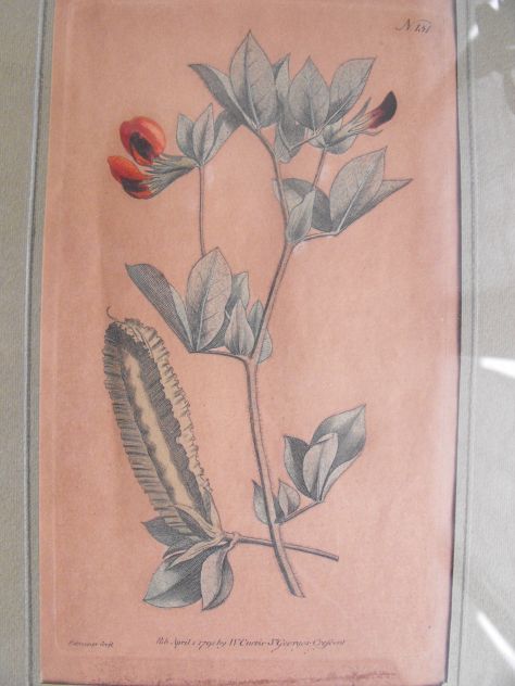 DISEGNI FLOREALI - Foto 2