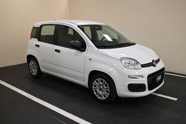 FIAT Panda 3ª serie Panda 1.0 FireFly S&S Hybrid - Foto 5