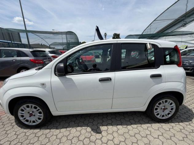 FIAT Panda Panda III 1.2 Lounge easypower Gpl 69cv my19 rif. 23769840 - Foto 2