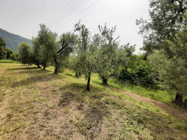 Terreno Agricolo - Roè Volciano . Rif.: 001 TA Trobiolo