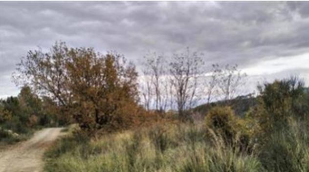 Immobile in asta di 4500 m² in vendita a Albenga - Foto 11