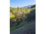 Terreno agricolo di 13.000 mq.