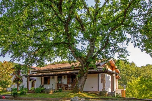 Villa in Vendita in serricciolo a Aulla - Foto 4