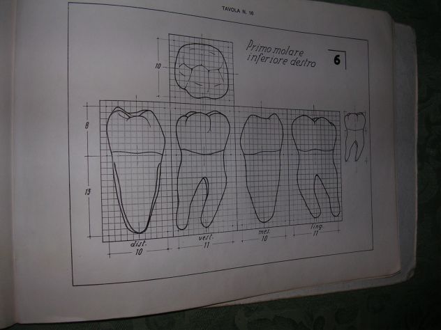 IL DISEGNO DEI DENTI - Foto 10