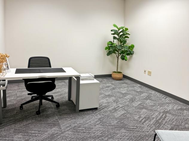 Utilizzo di uffici privati su richiesta presso Regus Napoli, via dei Fiorentini Napoli - Foto 2