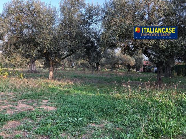 Agricolo in vendita a Città Sant'Angelo - Foto 8
