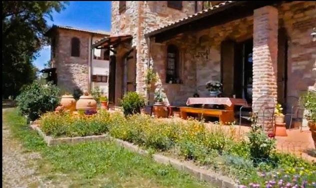 Vendita Rustico casale da 680 mq con giardino - Foto 8