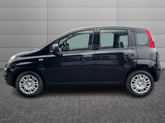 FIAT Pandina 1.0 FireFly 65cv S&S 6m Hybrid Pop - Foto 2